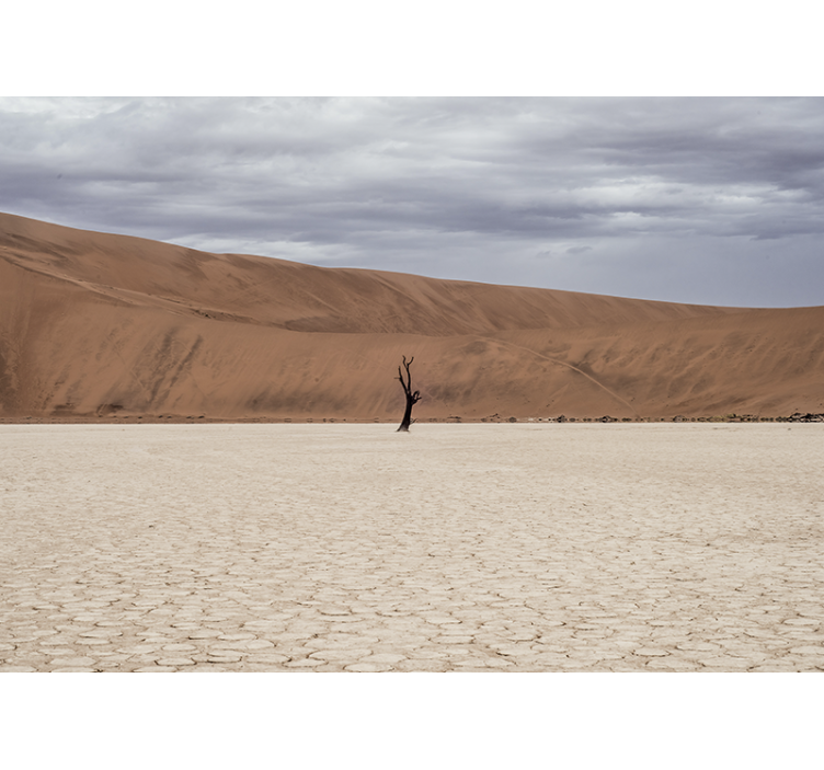 Fototapete berge wüstenlandschaft ausblick - TenStickers