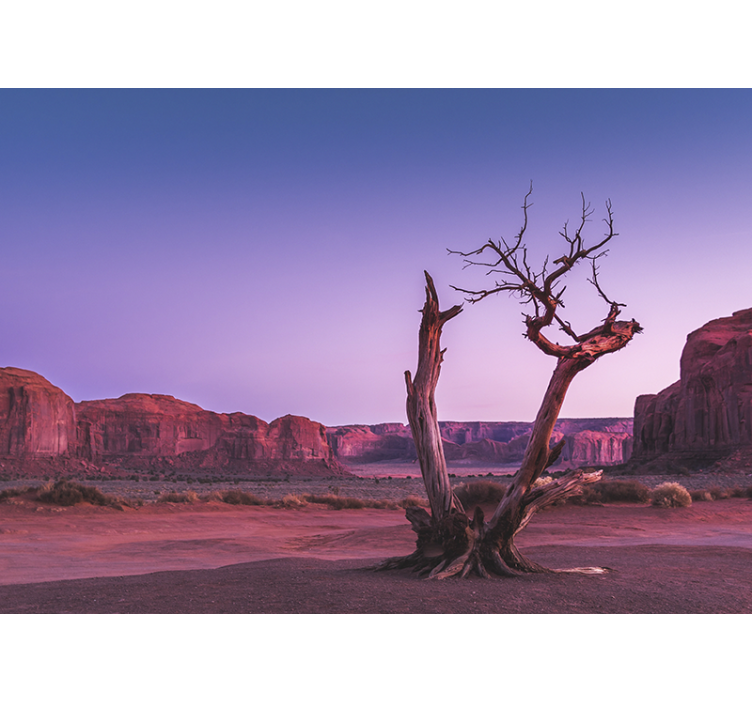 Fototapete landschaft wüstensteinstruktur - TenStickers