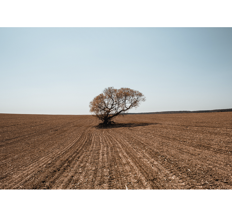 Fototapete natur einsamer baum landschaft - TenStickers