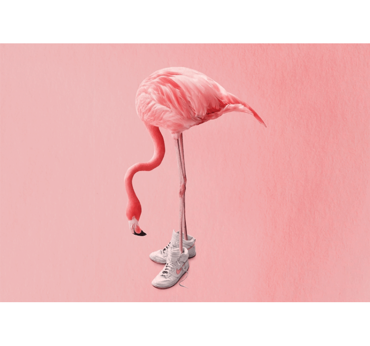 Fototapeten weitere tiere flamingo in sneakers - TenStickers