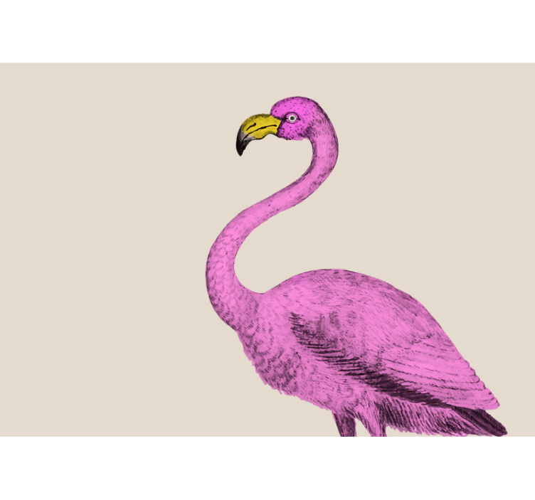 Fototapete tiere eleganz des rosa flamingos - TenStickers