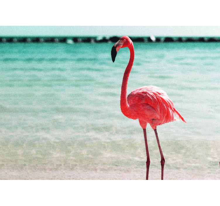 Fototapete tiere anmutige flamingo pose - TenStickers