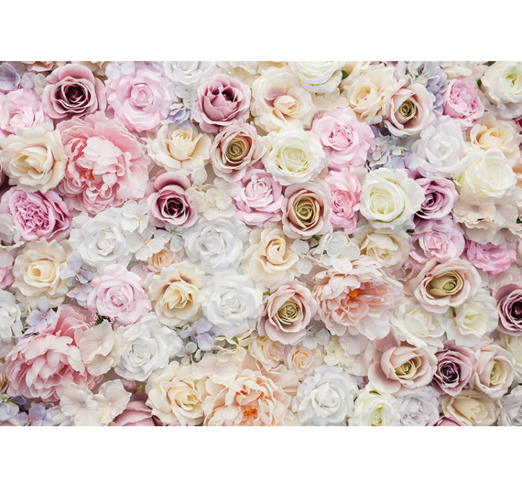 Fototapete blumen rose blüten kollektion - TenStickers