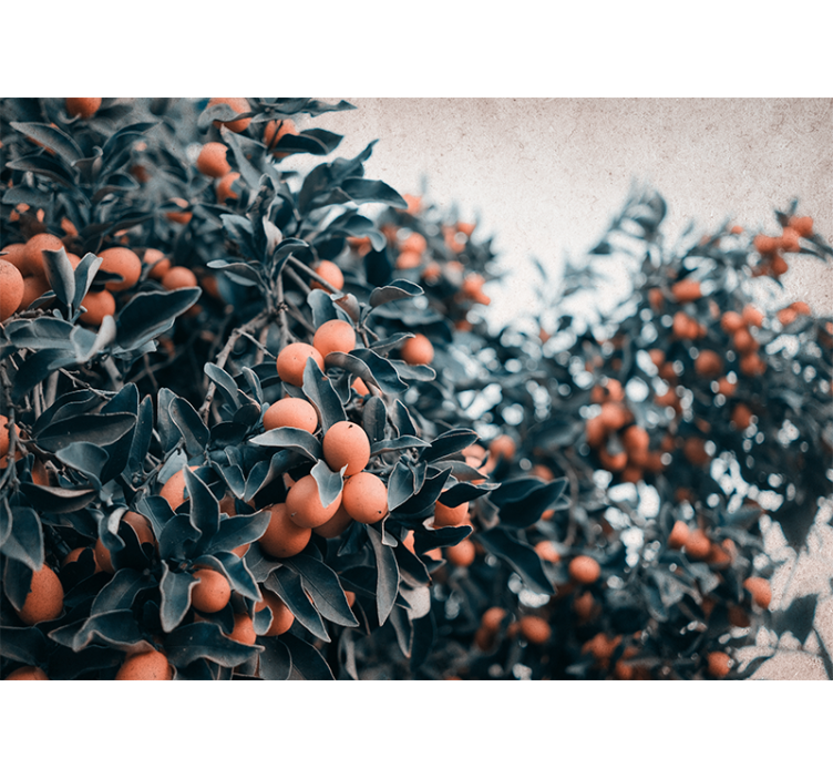 Fototapete blumen mit zitrusfruchtzweigen - TenStickers