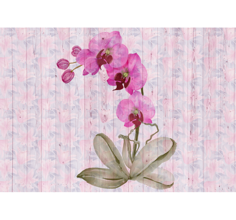 Fototapete blumen pinke orchideenblüten - TenStickers