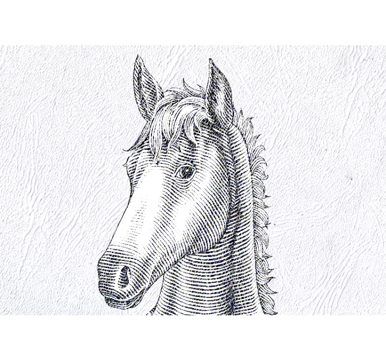 Fototapete tiere elegantes pferdeporträt - TenStickers