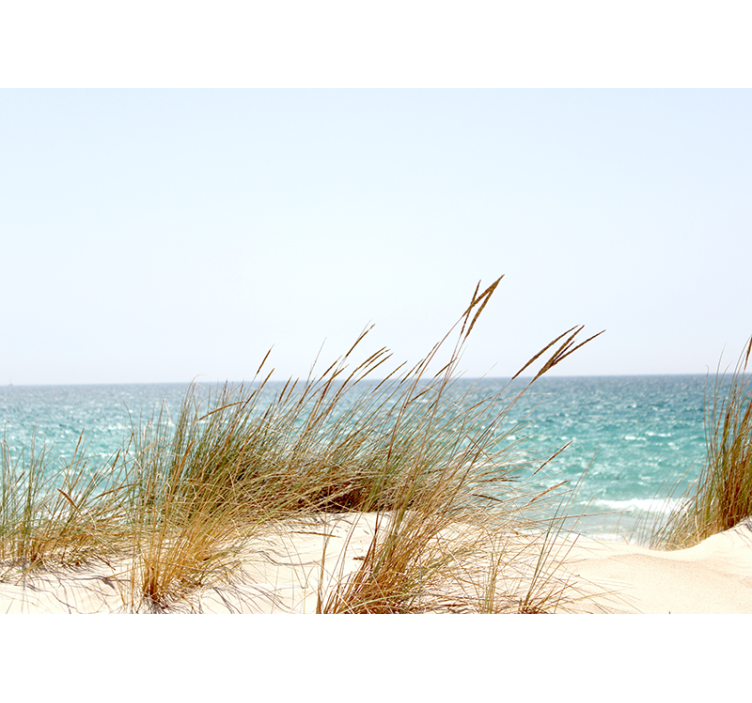 Fototapete Natur Strandrohrgras - TenStickers