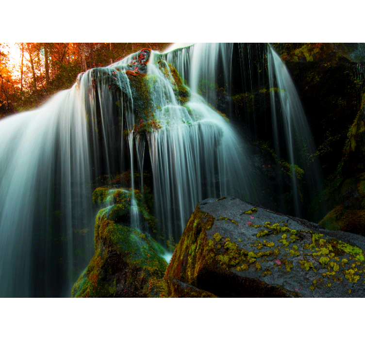 Fototapete Wasserfall Tiefer wald - TenStickers