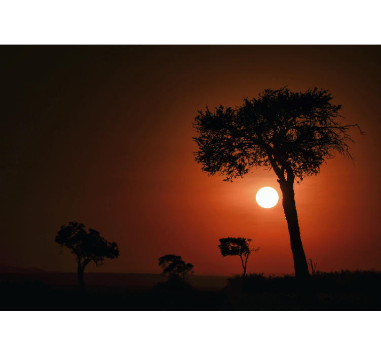 Fototapete Landschaft silhouette sonnenuntergang szene - TenStickers