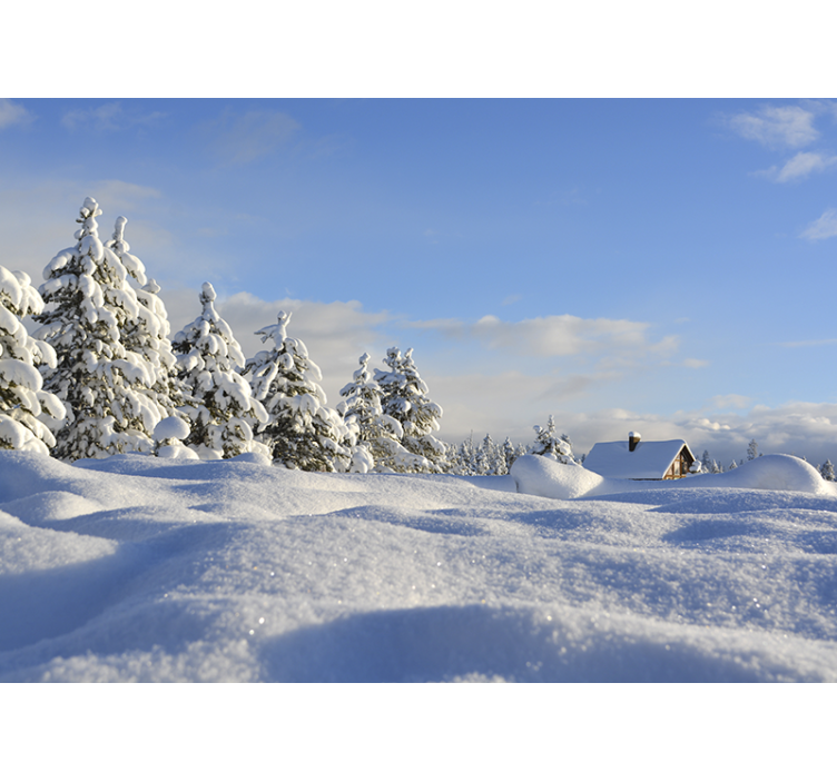 Fototapete landschaft winter schneelandschaft - TenStickers