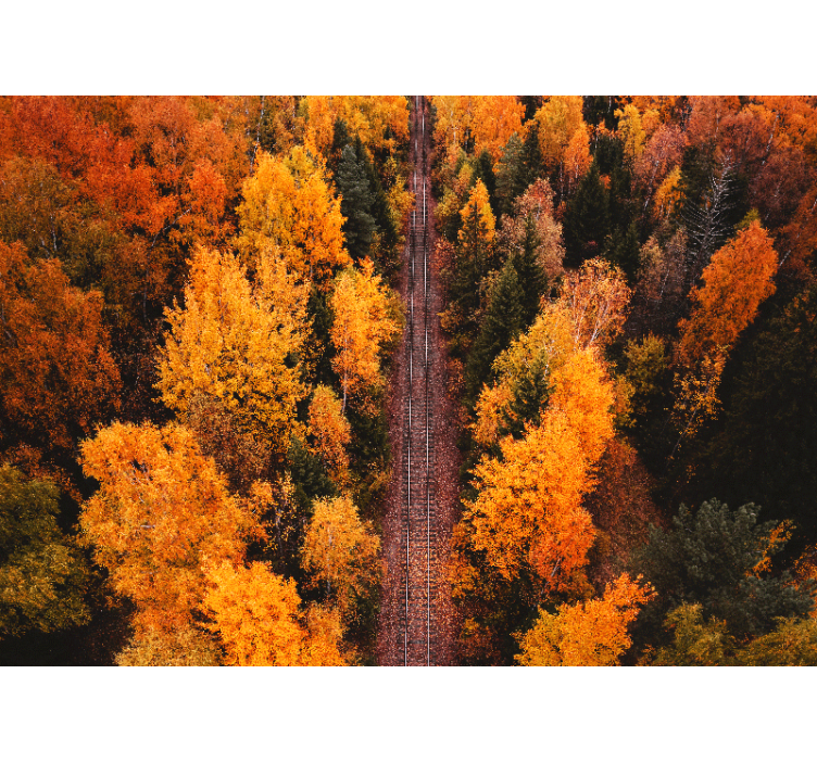 Fototapete landschaft herbstwaldweg - TenStickers