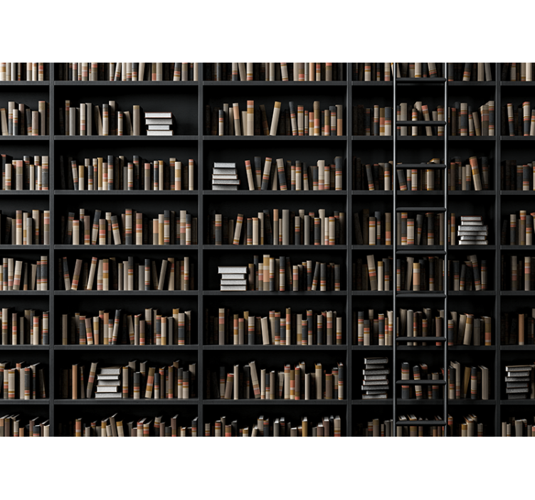 Fototapete 3D Bücherregale optische täuschung - TenStickers