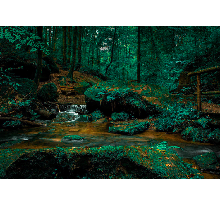 Fototapete wald ruhiger waldfluss - TenStickers