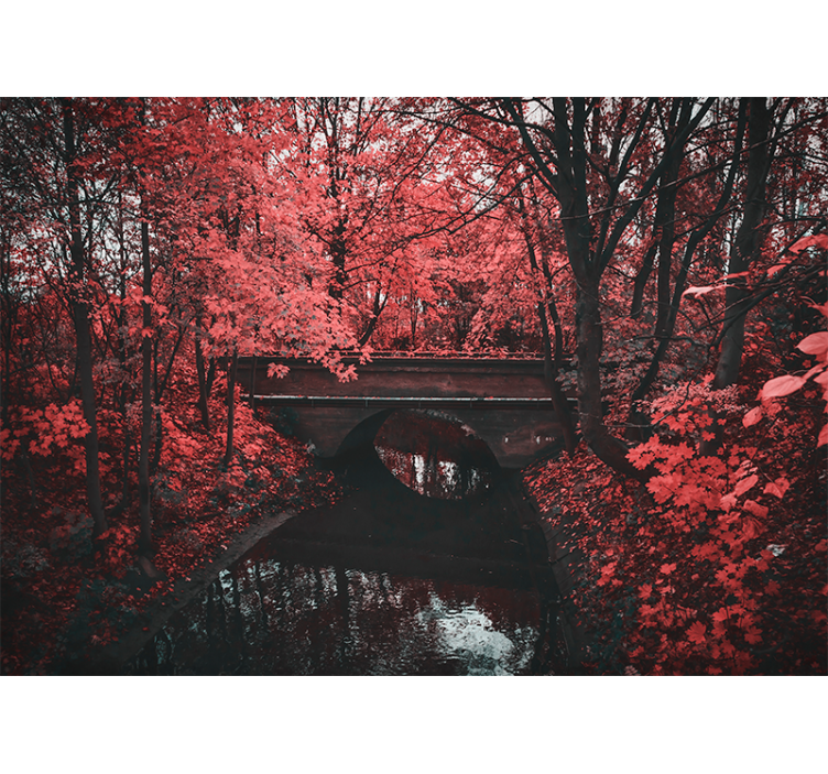 Fototapete natur roter blätterwald - TenStickers