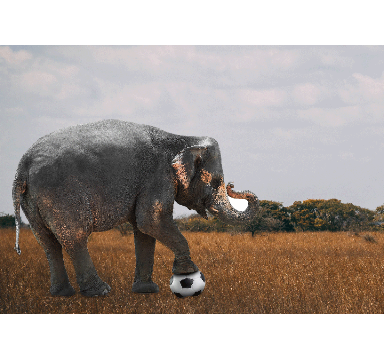 Fototapeten weitere tiere elefant beim fußballspielen - TenStickers