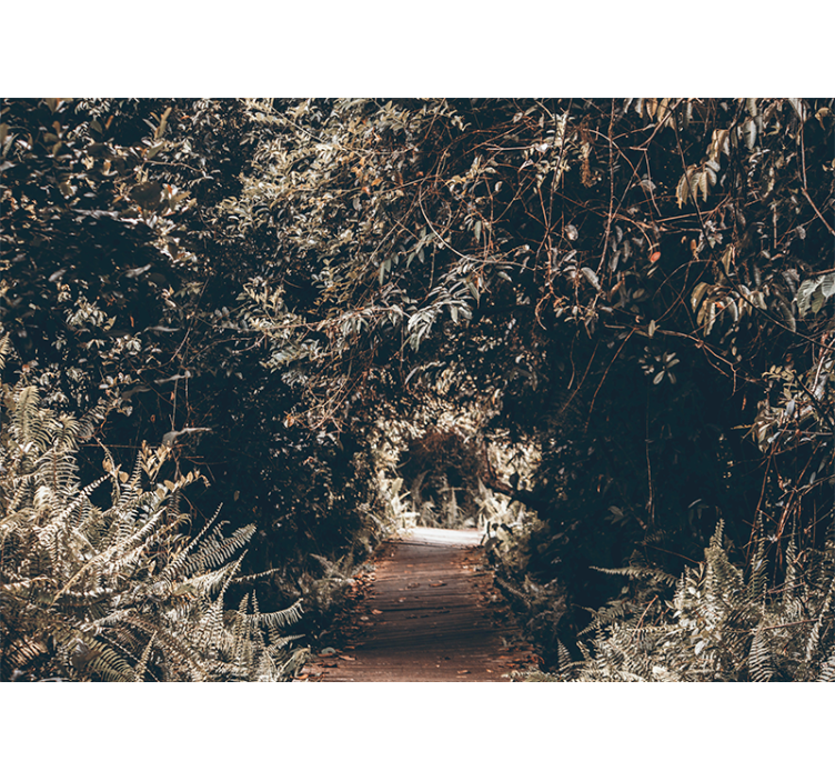 Fototapete natur waldweg pfad - TenStickers