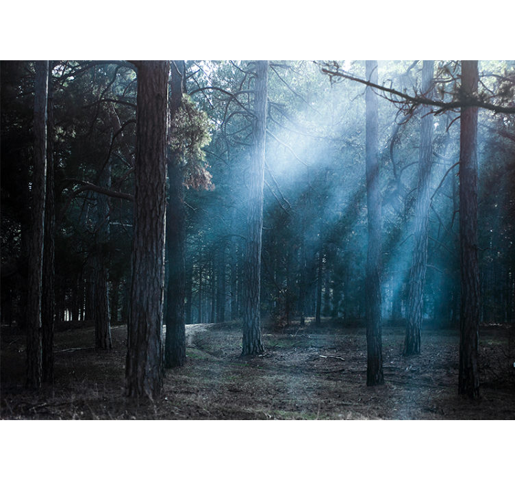 Fototapete Wald neblig nebligen weg - TenStickers