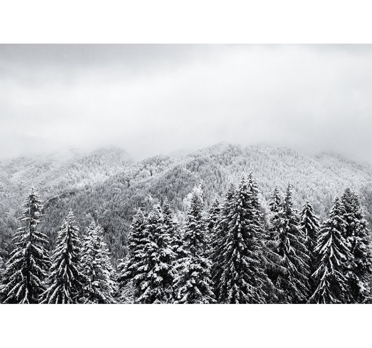 Fototapete natur winterwald landschaft - TenStickers