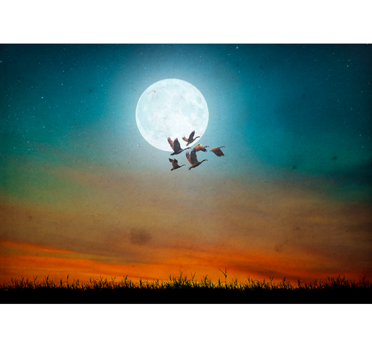 Fototapete natur mondschein himmel flock - TenStickers