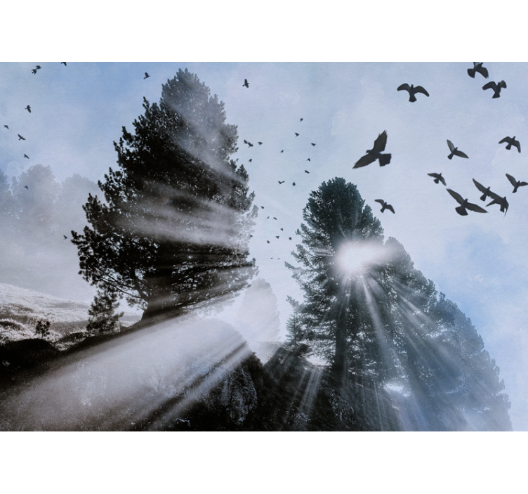 Fototapete Wald strahlende waldstrahlen mit vögeln - TenStickers