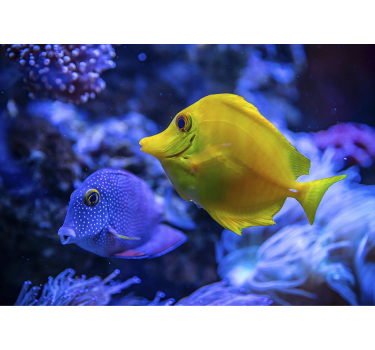 Blaue und gelbe fische foto wandbild - TenStickers