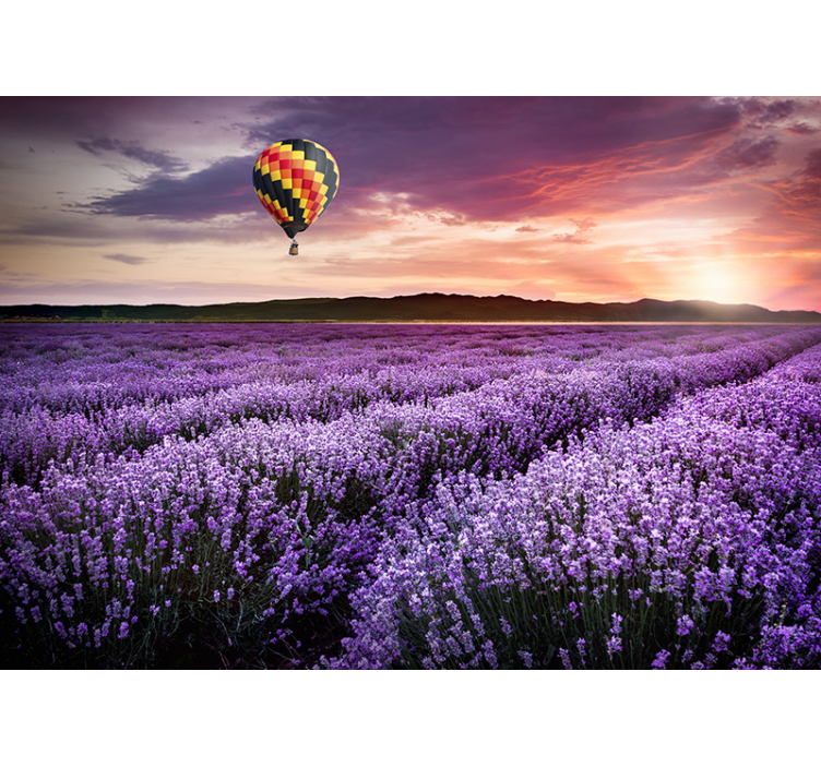 Lavendel heißluftballon Fototapete - TenStickers