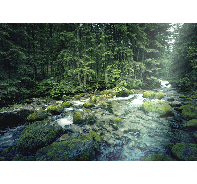 Laubwald und Fluss Fototapete - TenStickers