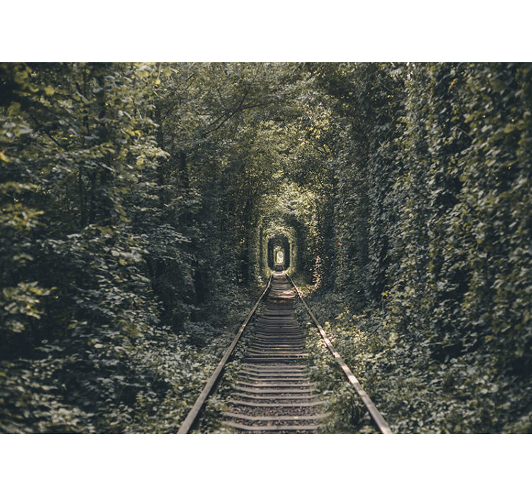 Eisenbahntunnel der Natur Fototapete - TenStickers