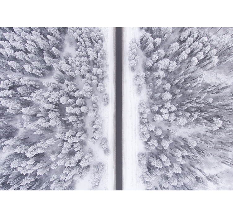 Straße durch schneebedeckte Waldlandschaft Fototapete - TenStickers