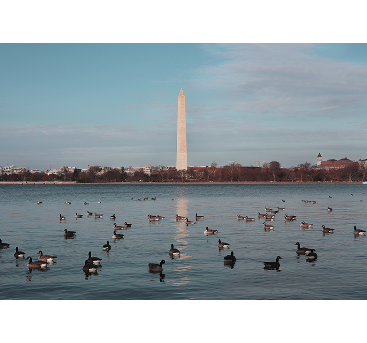 Fototapete städte washington monument spiegelung - TenStickers