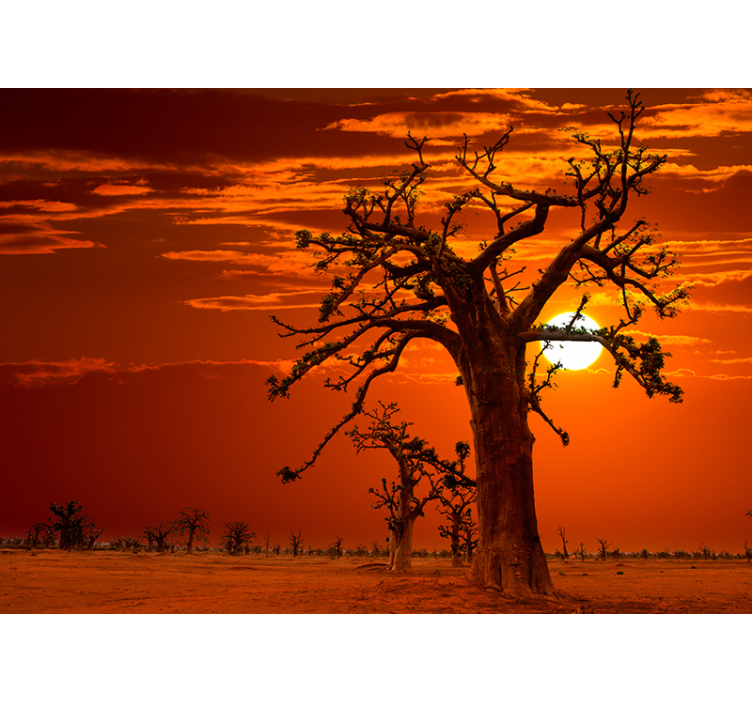 Afrikanischer Sonnenuntergang Landschaft Fototapete - TenStickers