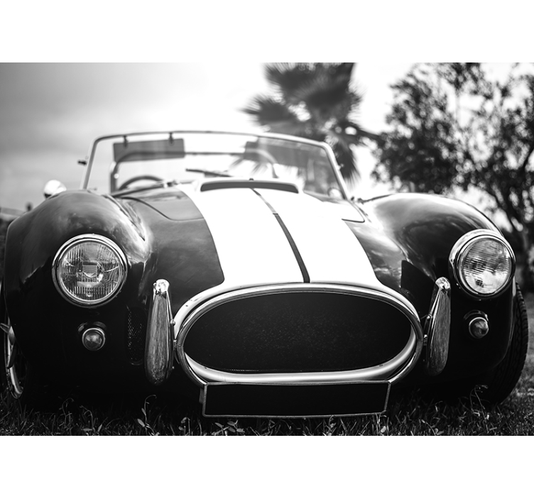 Vintage Rennwagen Foto Wandtapete - TenStickers