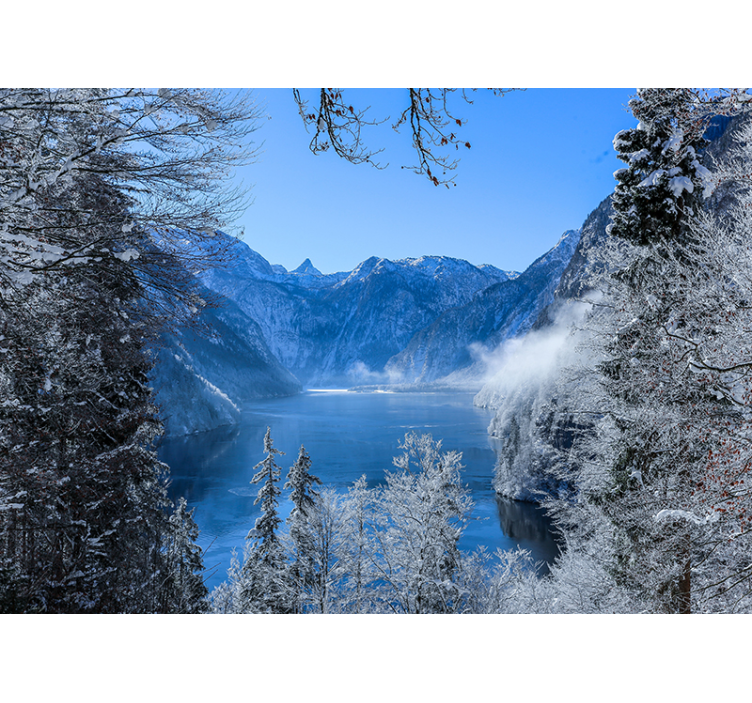Fototapete Wald  See und Wald - TenStickers