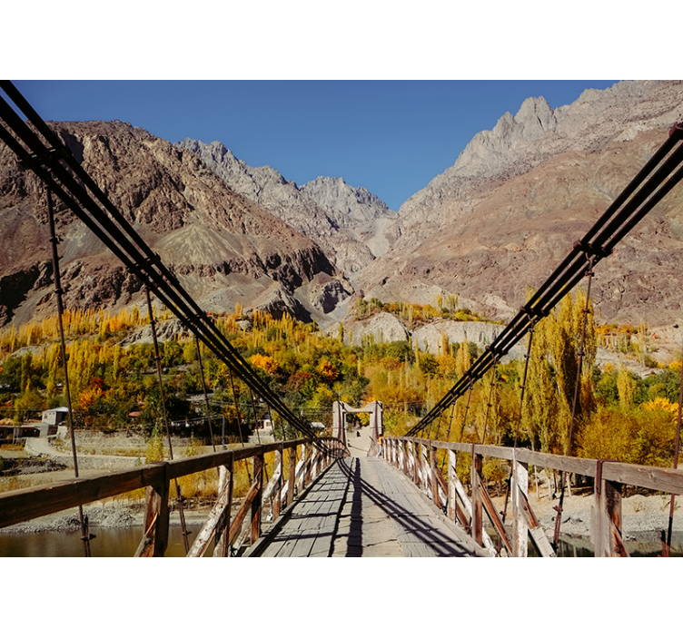 Fototapete Natur lebendiges laubarrangement - TenStickers