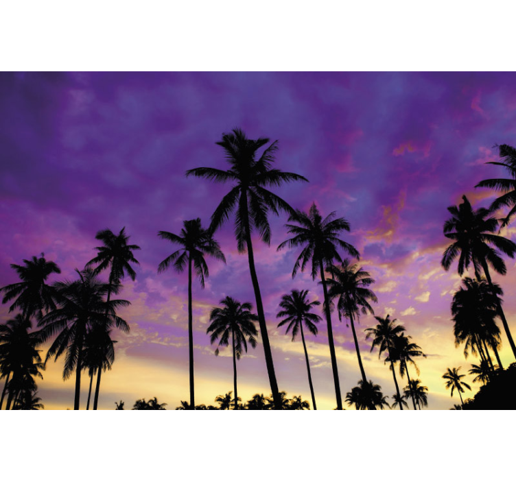 Fototapete Natur palmensilhouetten sonnenuntergang - TenStickers