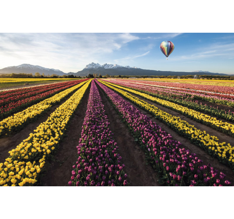Fototapete Blumen bunte tulpenfelder - TenStickers