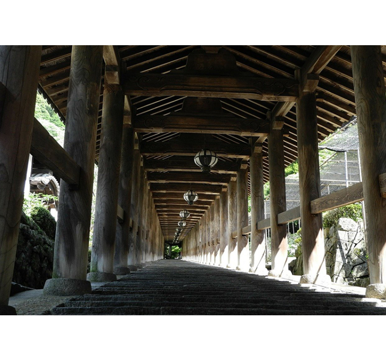 Fototapete wald blick auf den holzweg - TenStickers