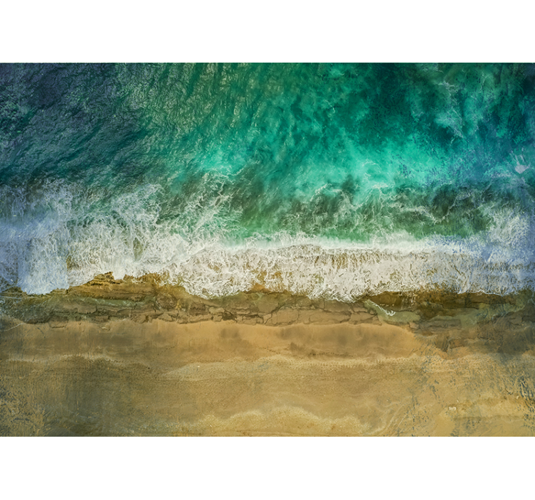 Fototapete natur küstenpflanzenansicht - TenStickers