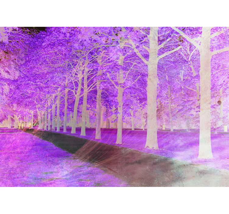 Fototapete Natur üppiger grüner weg - TenStickers