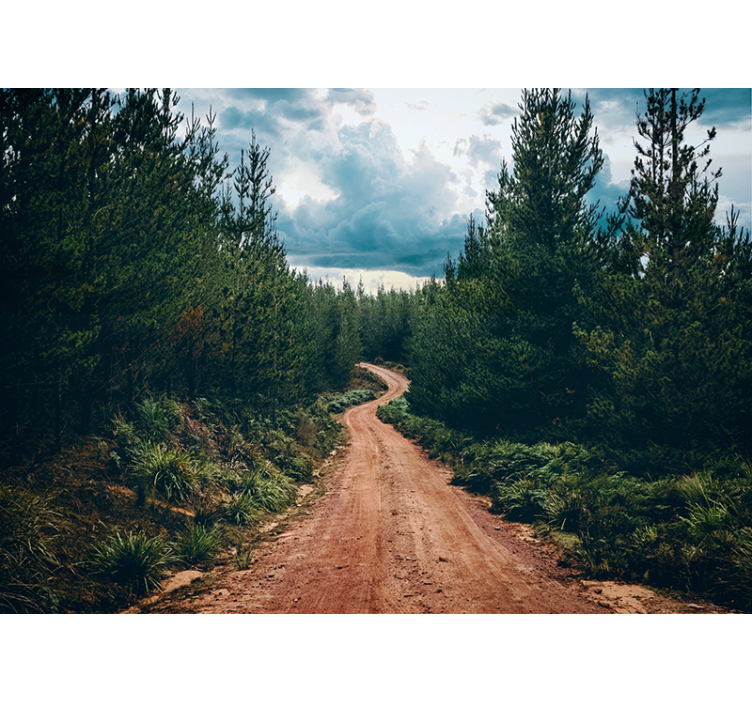 Fototapete landschaft winding nature path - TenStickers