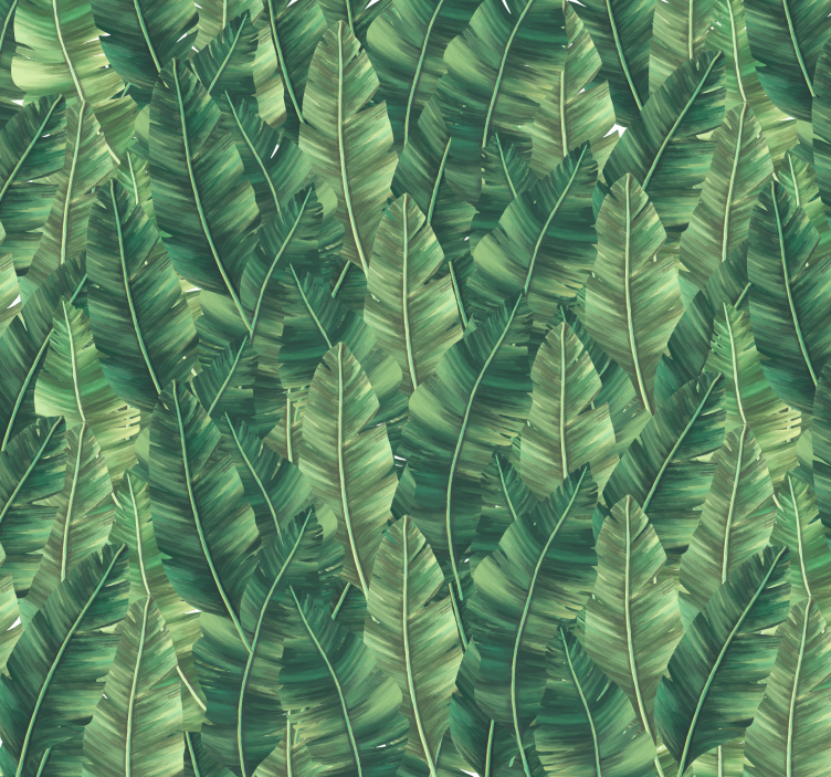 Fototapete Natur große Blätter - TenStickers