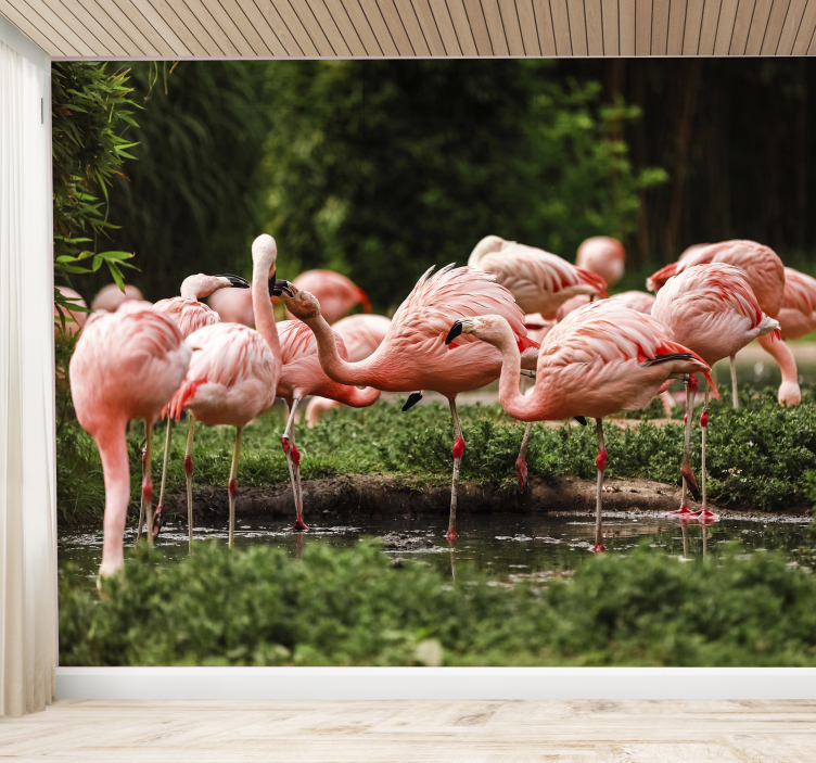 Flamingo gruppe Fototapete - TenStickers