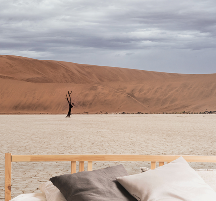 Fototapete berge wüstenlandschaft ausblick - TenStickers