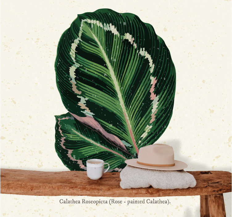 Fototapete blumen calathea blätter anzeige - TenStickers