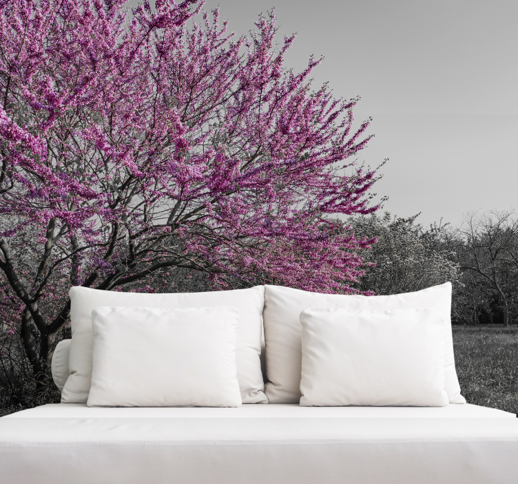 Fototapete blumen kirschblütenbaum - TenStickers