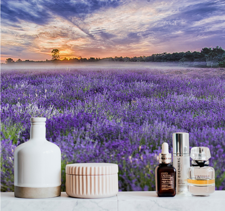 Fototapete blumen lavendelfeld im zwielicht - TenStickers