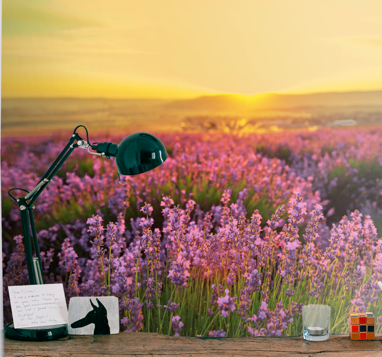 Fototapete blumen lavendelwiese dämmerung - TenStickers