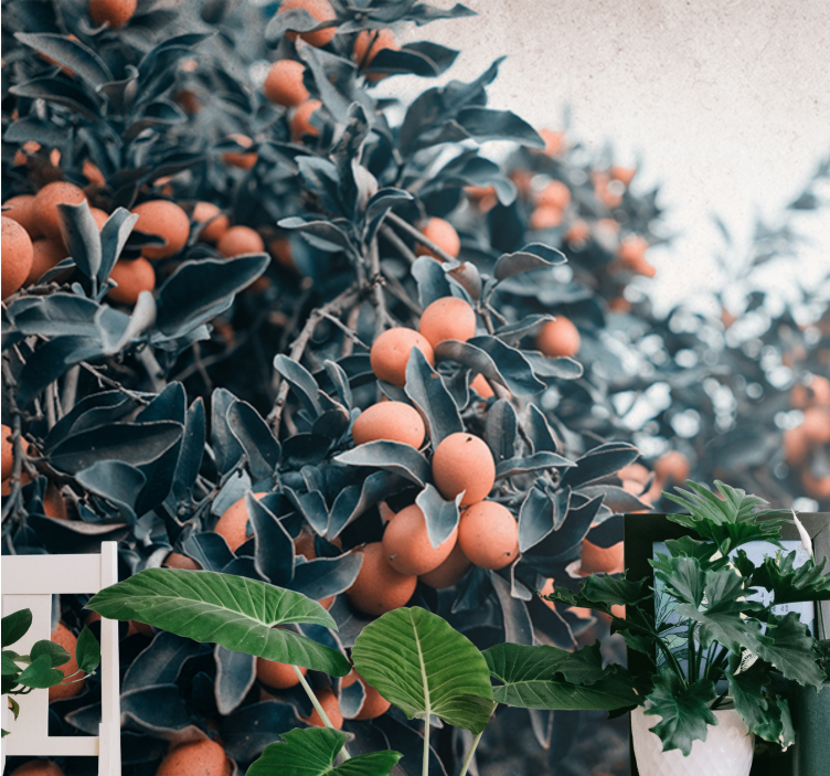 Fototapete blumen mit zitrusfruchtzweigen - TenStickers