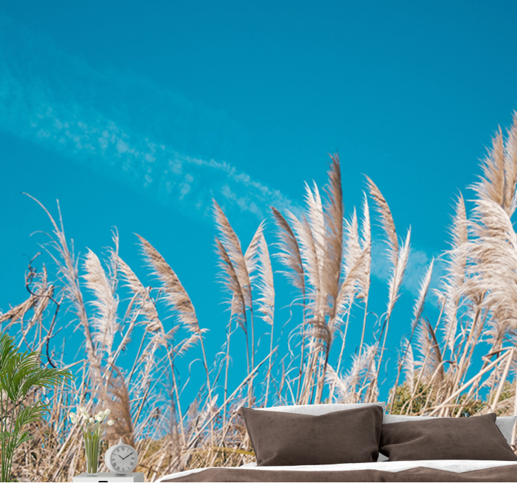 Fototapete blumen pampasgras ruhe - TenStickers