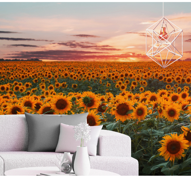 Fototapete Andere Blumen Sonnenblumen orange sonnenuntergang - TenStickers